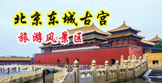 骚货啊啊啊啊高清中国北京-东城古宫旅游风景区